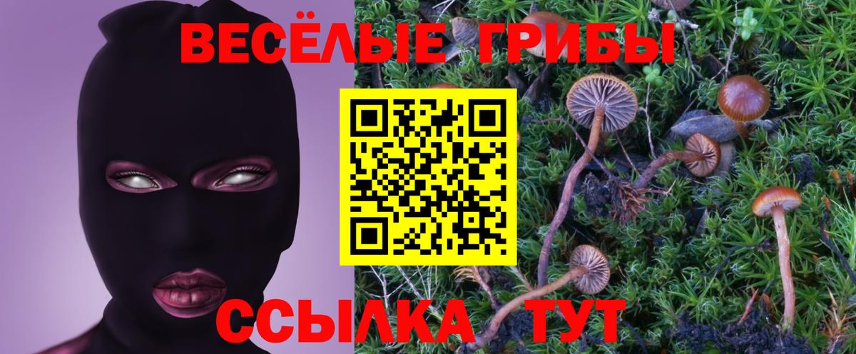 Усть-Джегута  Галлюциногенные грибы мицелий  Галлюциногенные грибы мухоморы  Вход с VPN 
